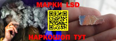 бошки Шелехов