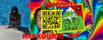 тгк Шахты