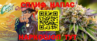 бошки Шелехов