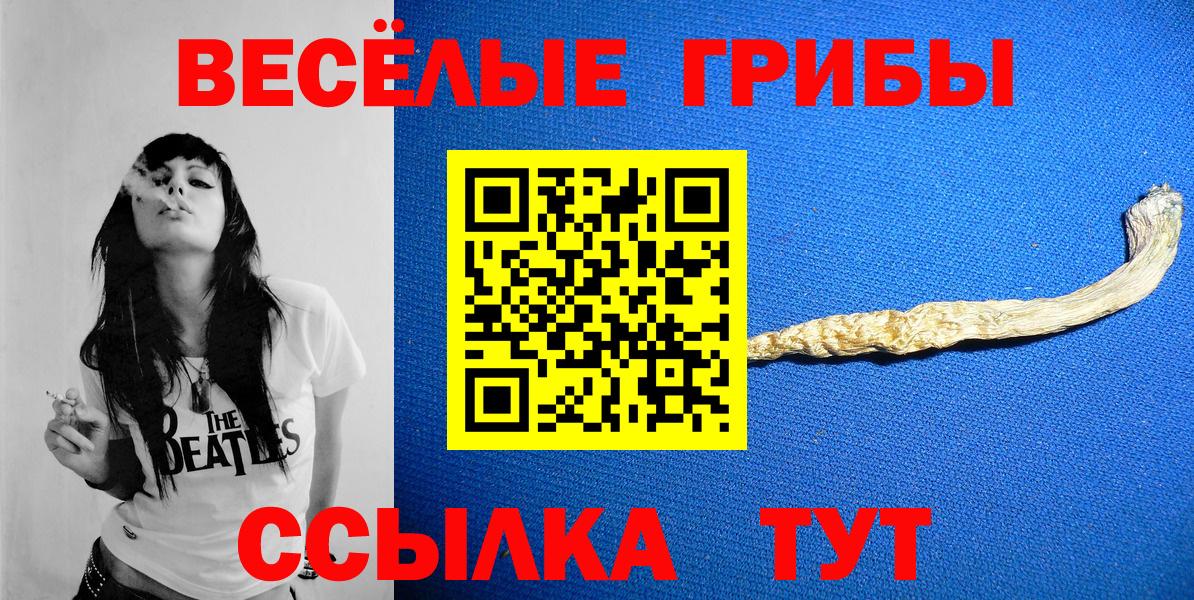 Псилоцибиновые грибы GOLDEN TEACHER Волгоград