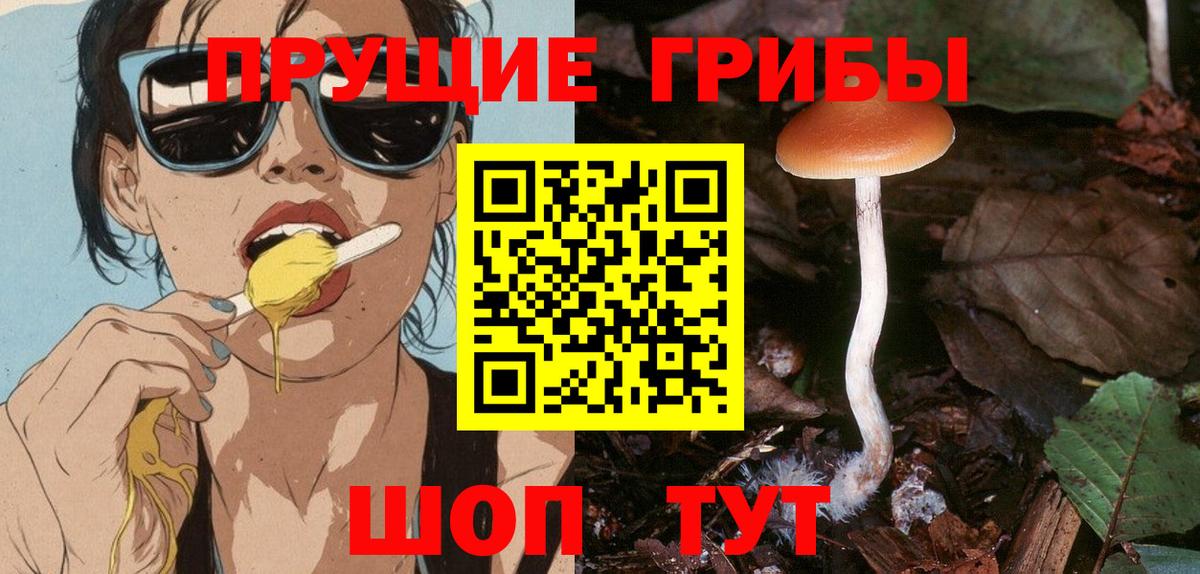 Волгоград  Галлюциногенные грибы мухоморы  Вход с VPN  Псилоцибиновые грибы Magic Shrooms 